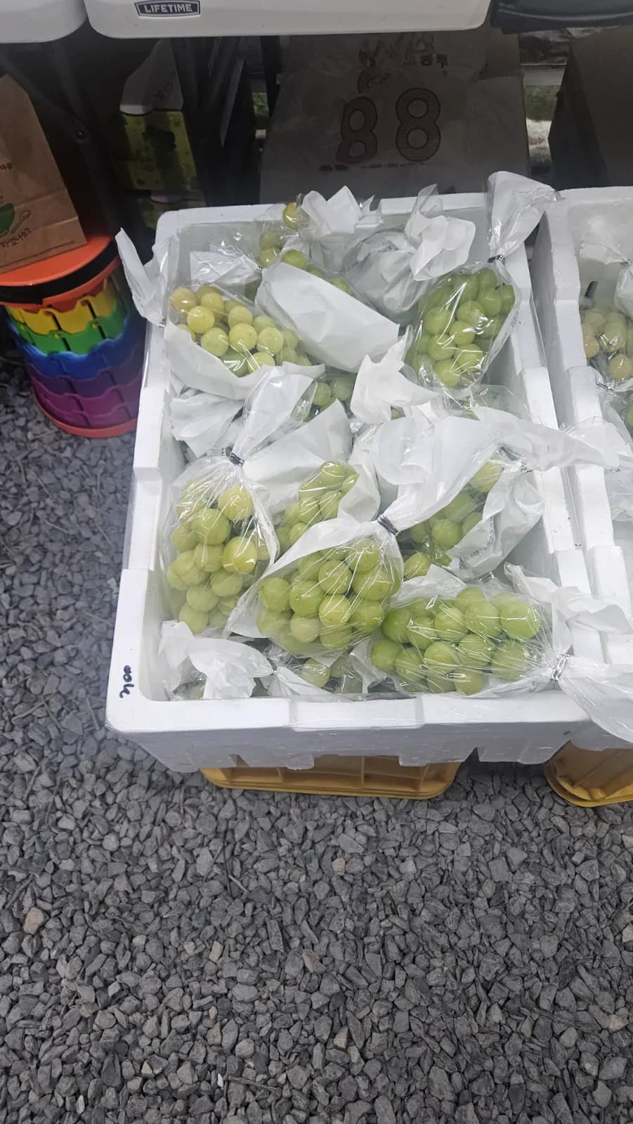 영천 농사원펀치 님 샤인머스켓 샤인머스켓