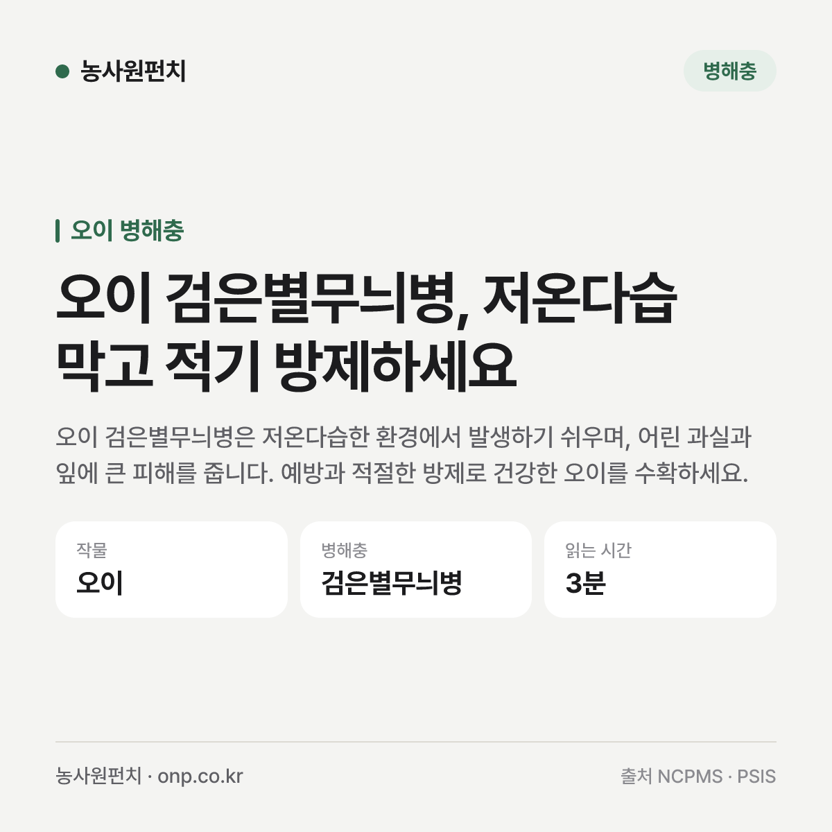 오이 검은별무늬병, 저온다습 막고 적기 방제하세요