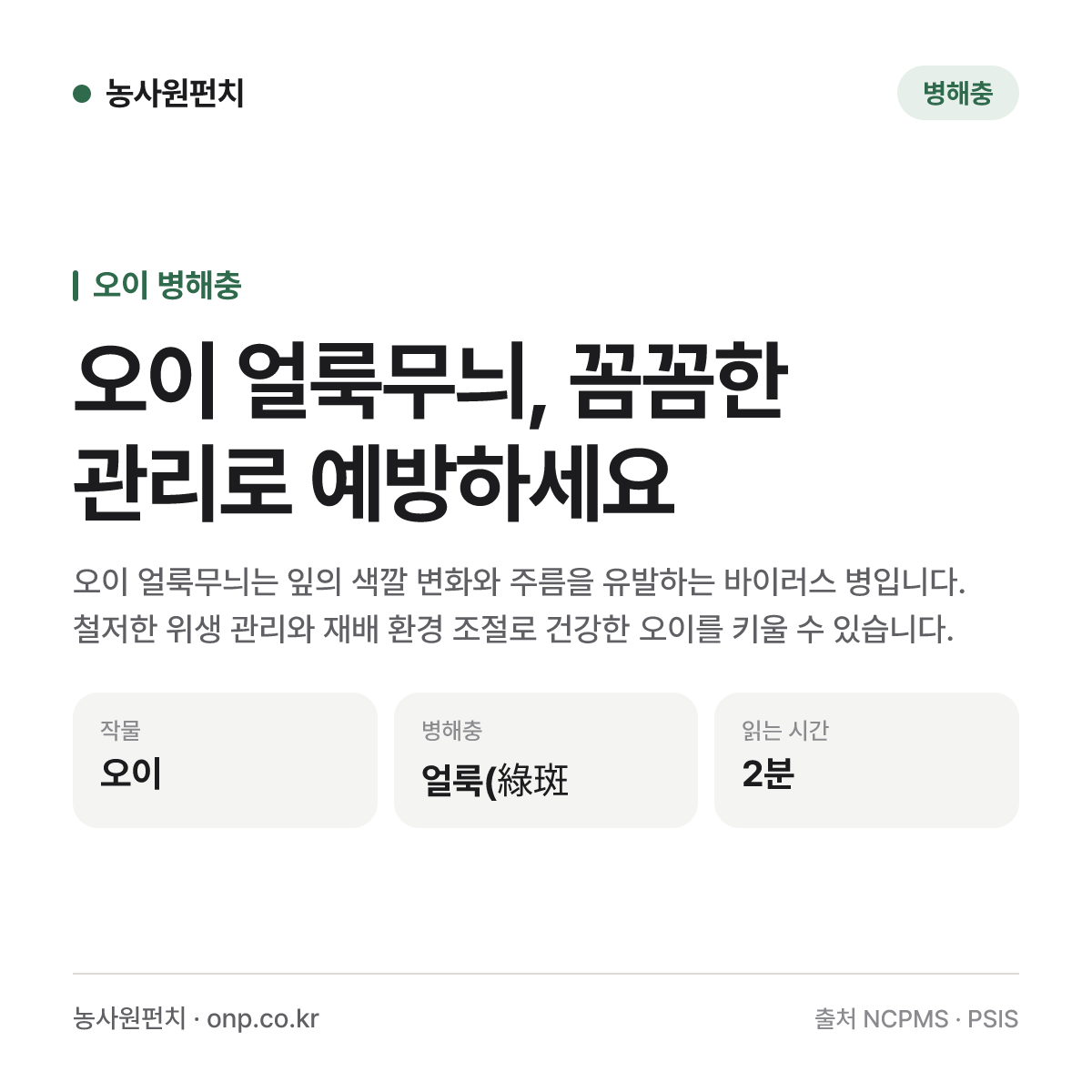 오이 얼룩무늬, 꼼꼼한 관리로 예방하세요