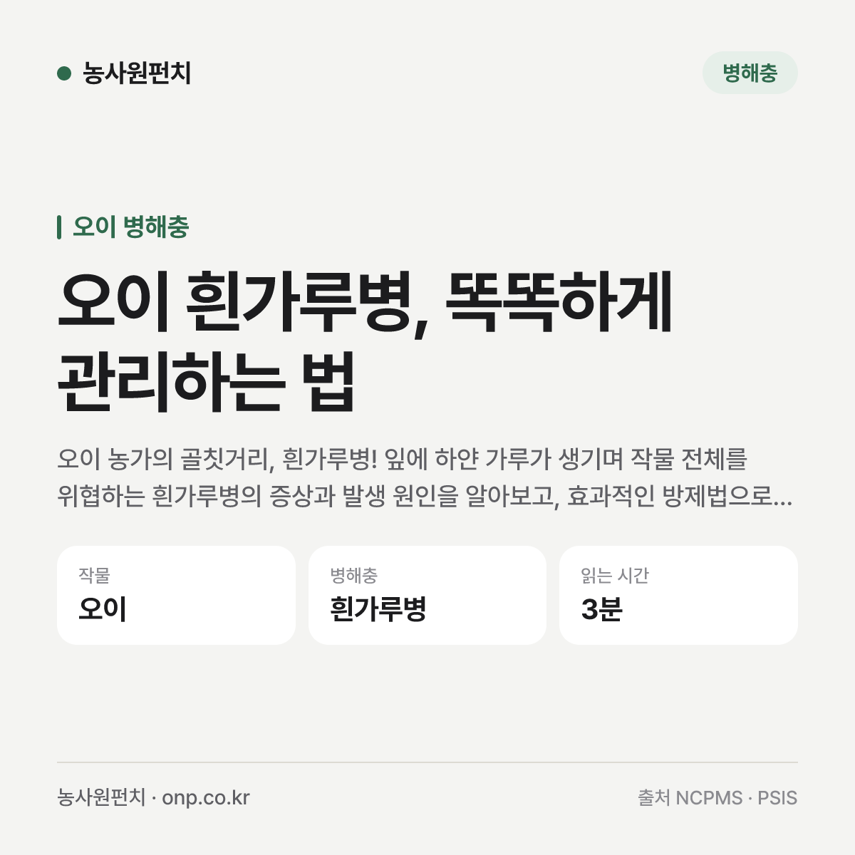 오이 흰가루병, 똑똑하게 관리하는 법