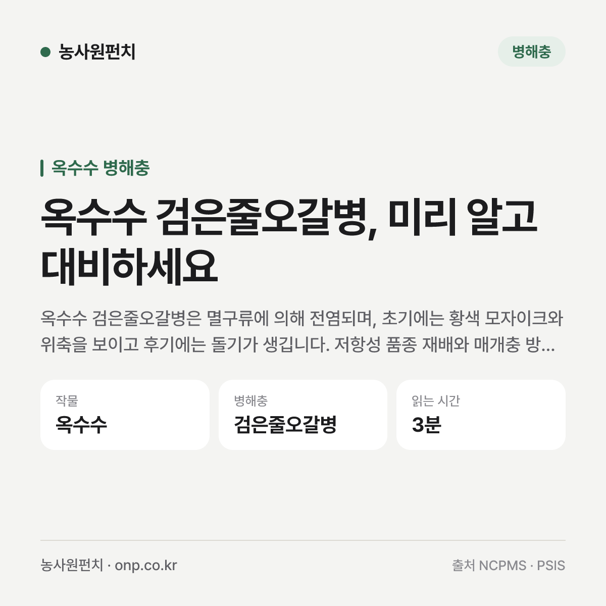 옥수수 검은줄오갈병, 미리 알고 대비하세요