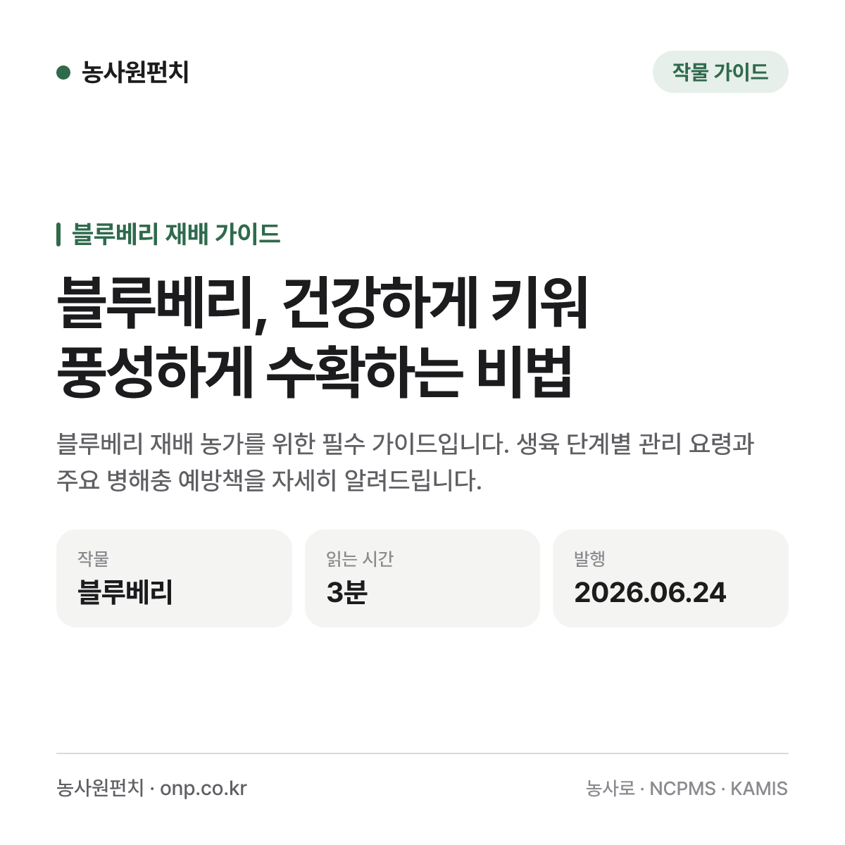 블루베리, 건강하게 키워 풍성하게 수확하는 비법