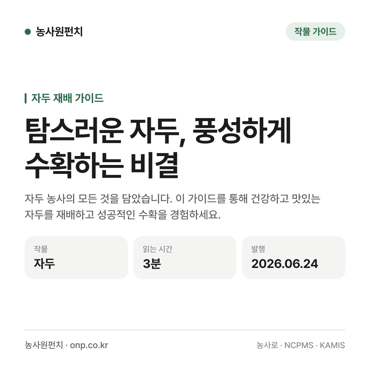 탐스러운 자두, 풍성하게 수확하는 비결