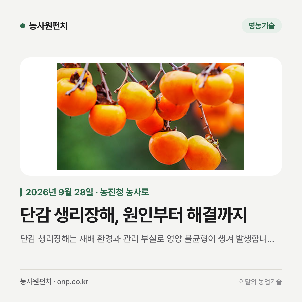 단감 생리장해, 원인부터 해결까지