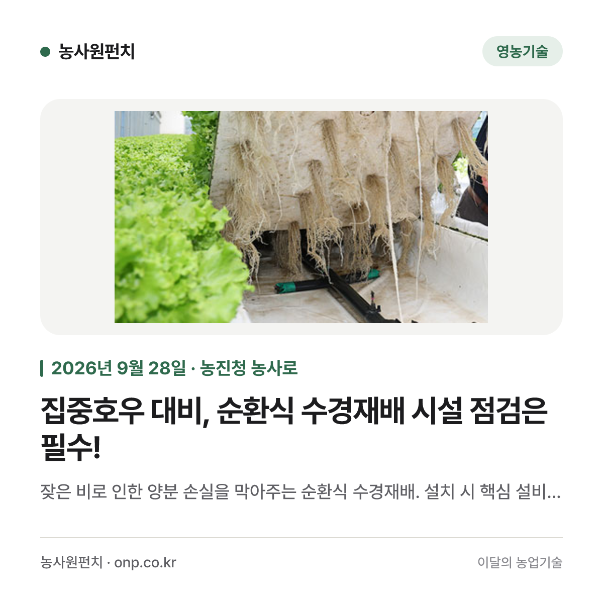 집중호우 대비, 순환식 수경재배 시설 점검은 필수!