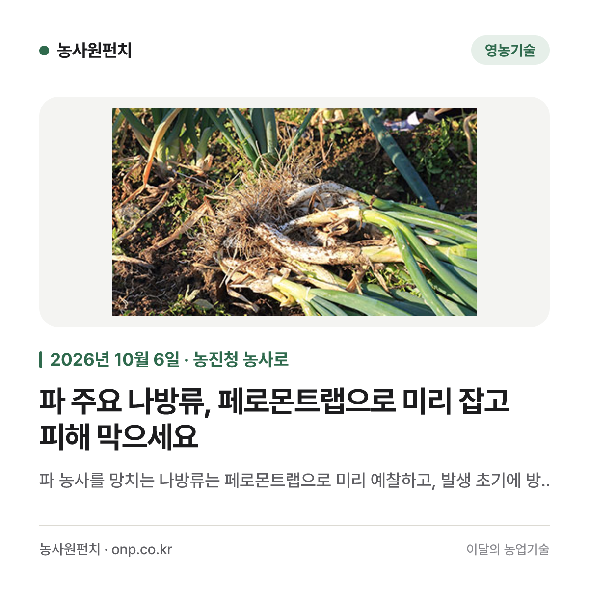 파 주요 나방류, 페로몬트랩으로 미리 잡고 피해 막으세요