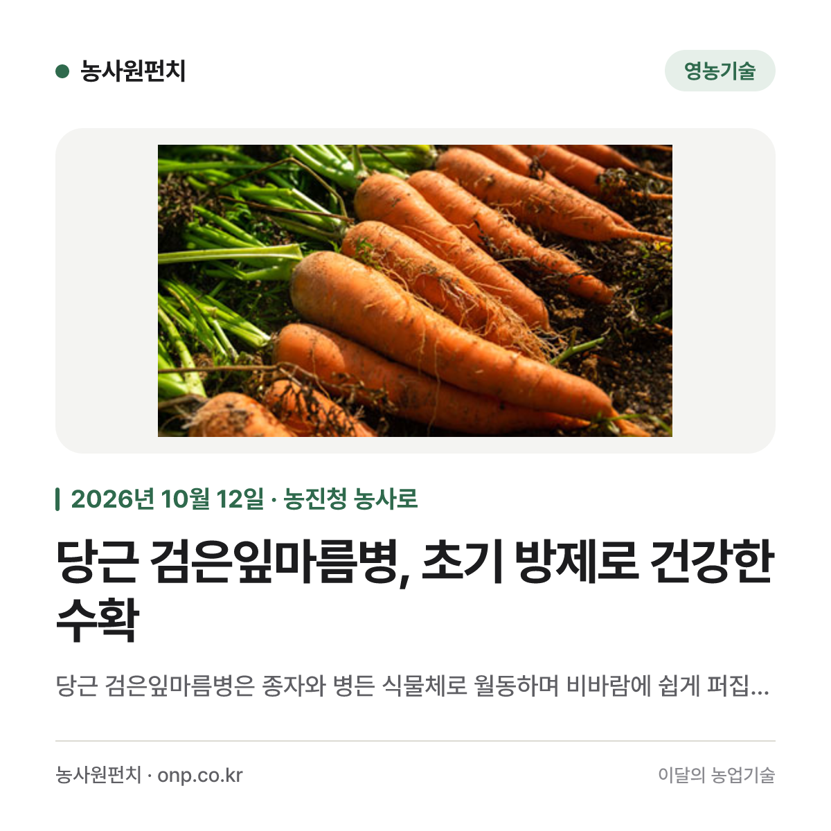 당근 검은잎마름병, 초기 방제로 건강한 수확