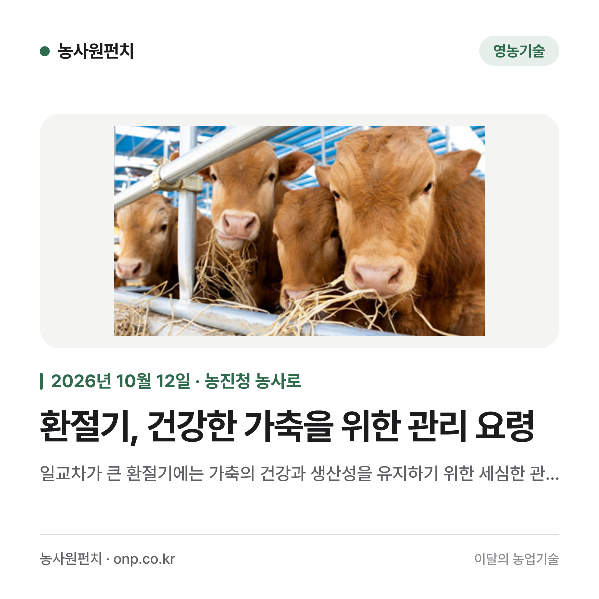 환절기, 건강한 가축을 위한 관리 요령