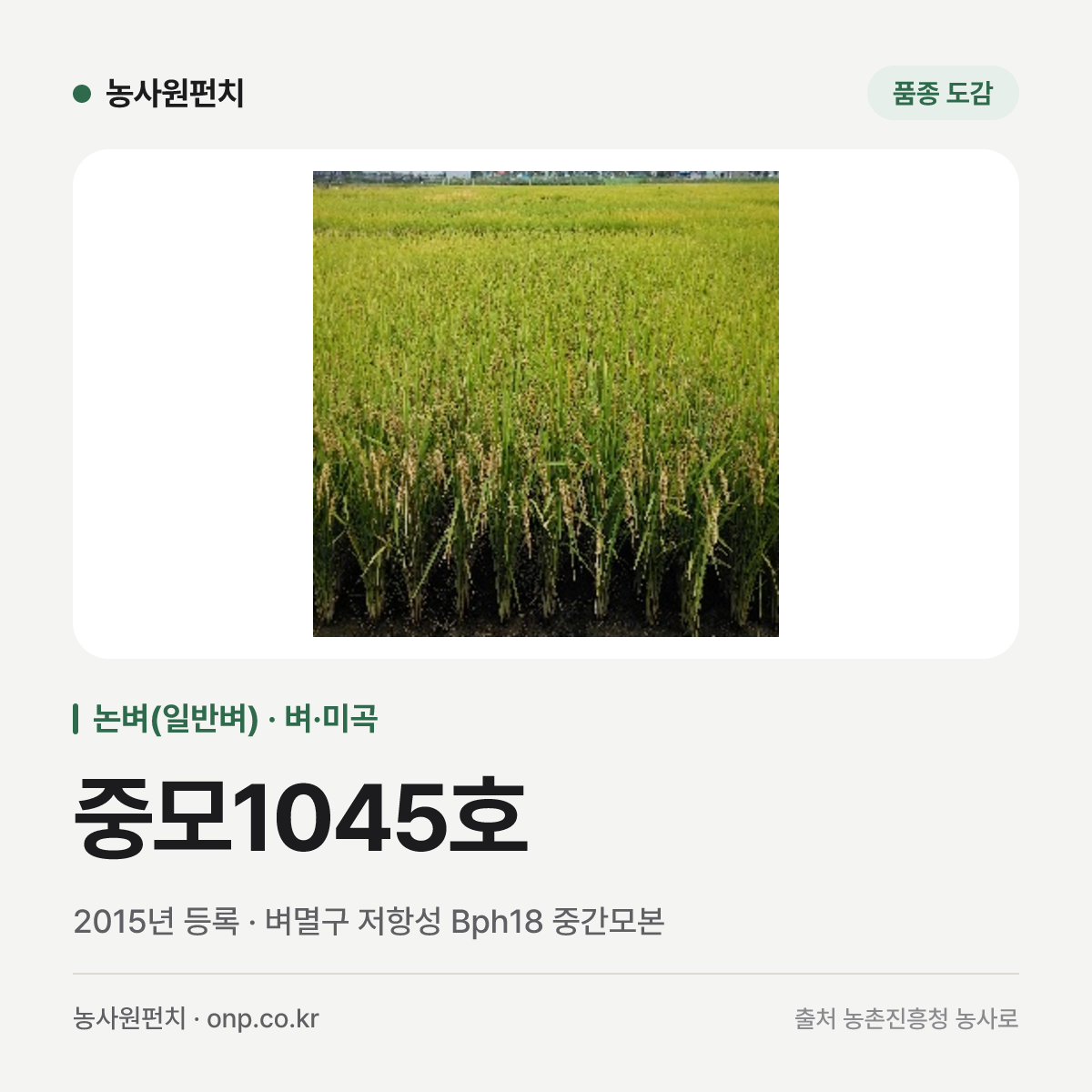 중모1045호