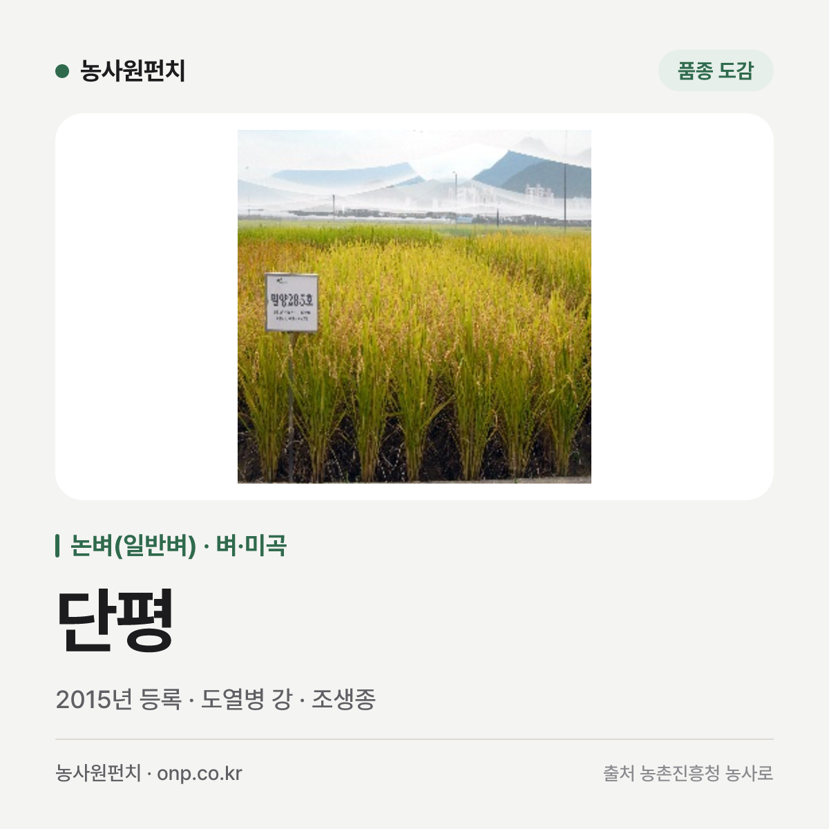 단평
