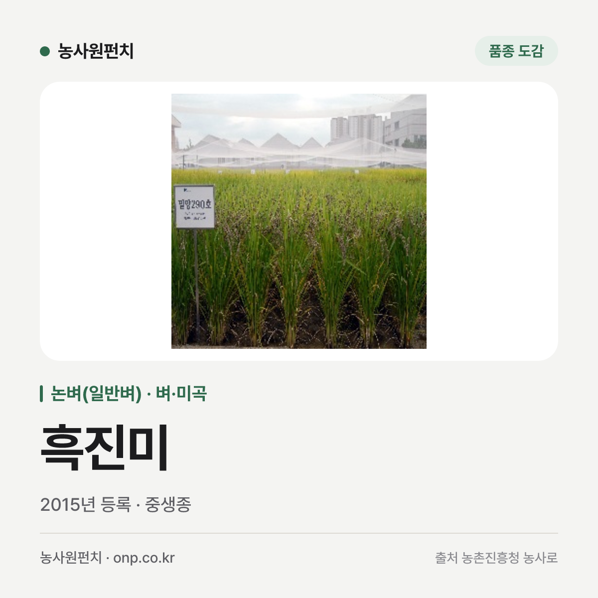 흑진미