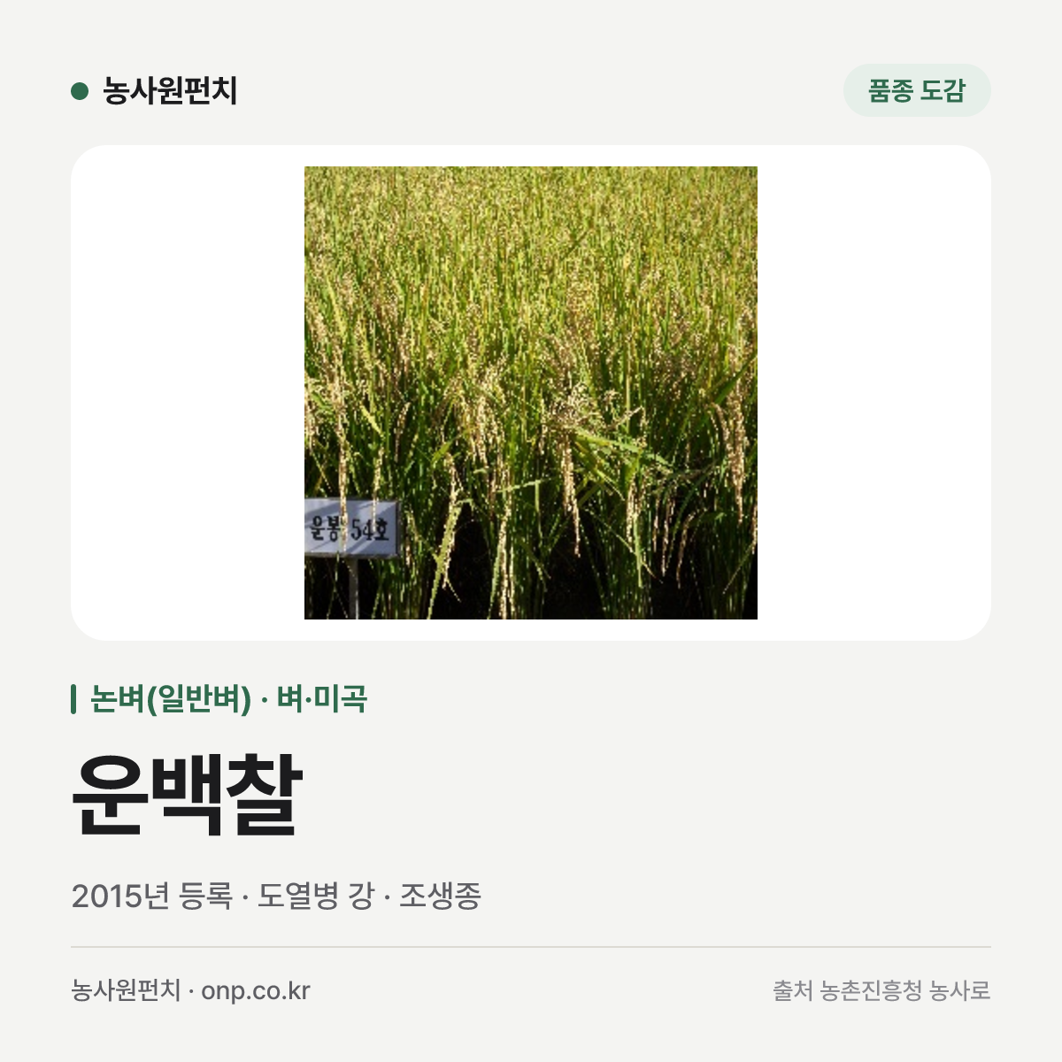 운백찰