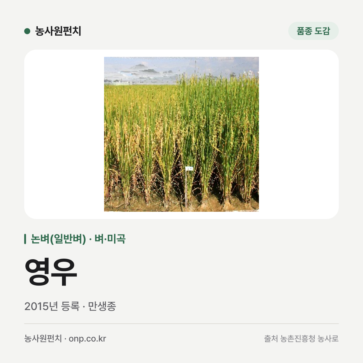 영우