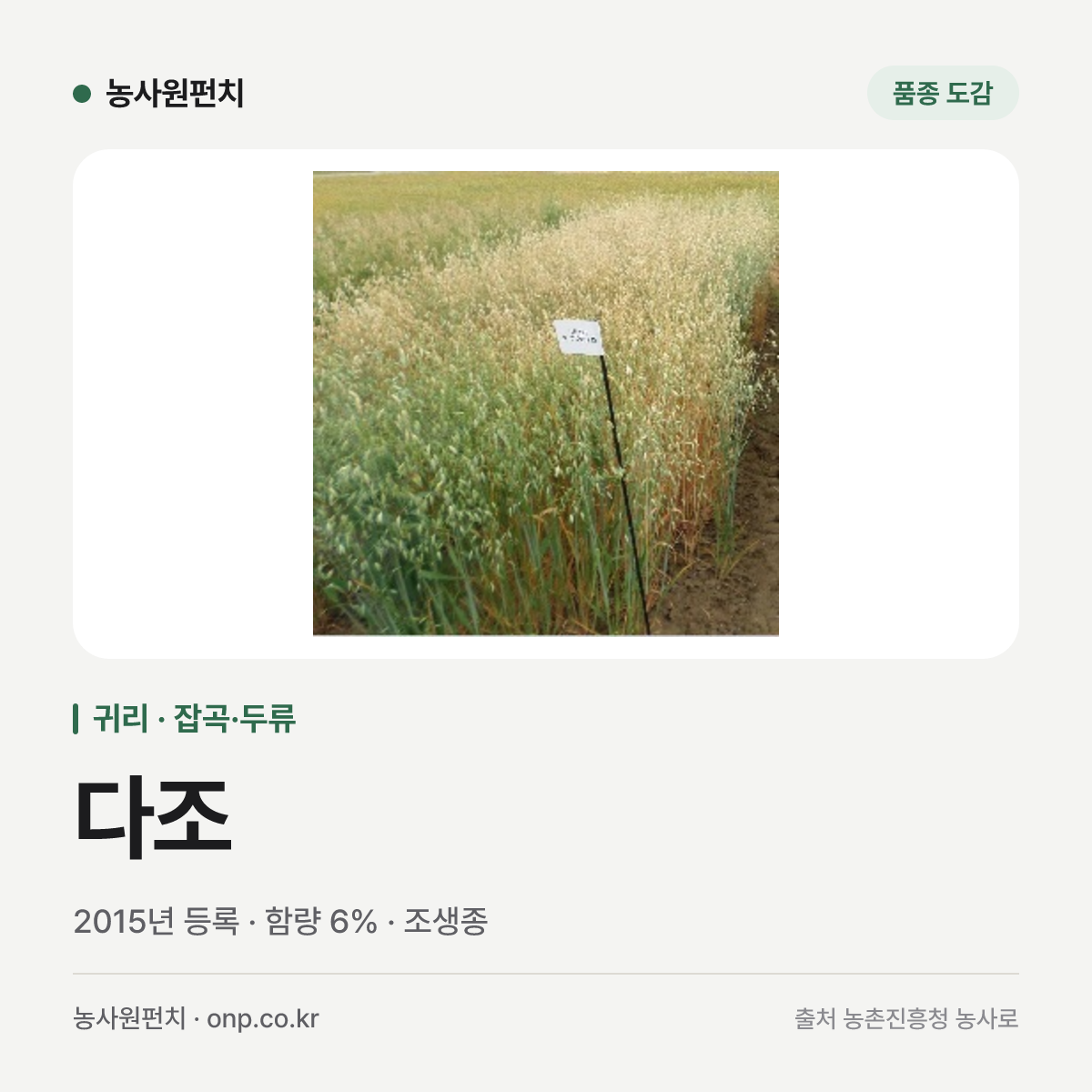 다조