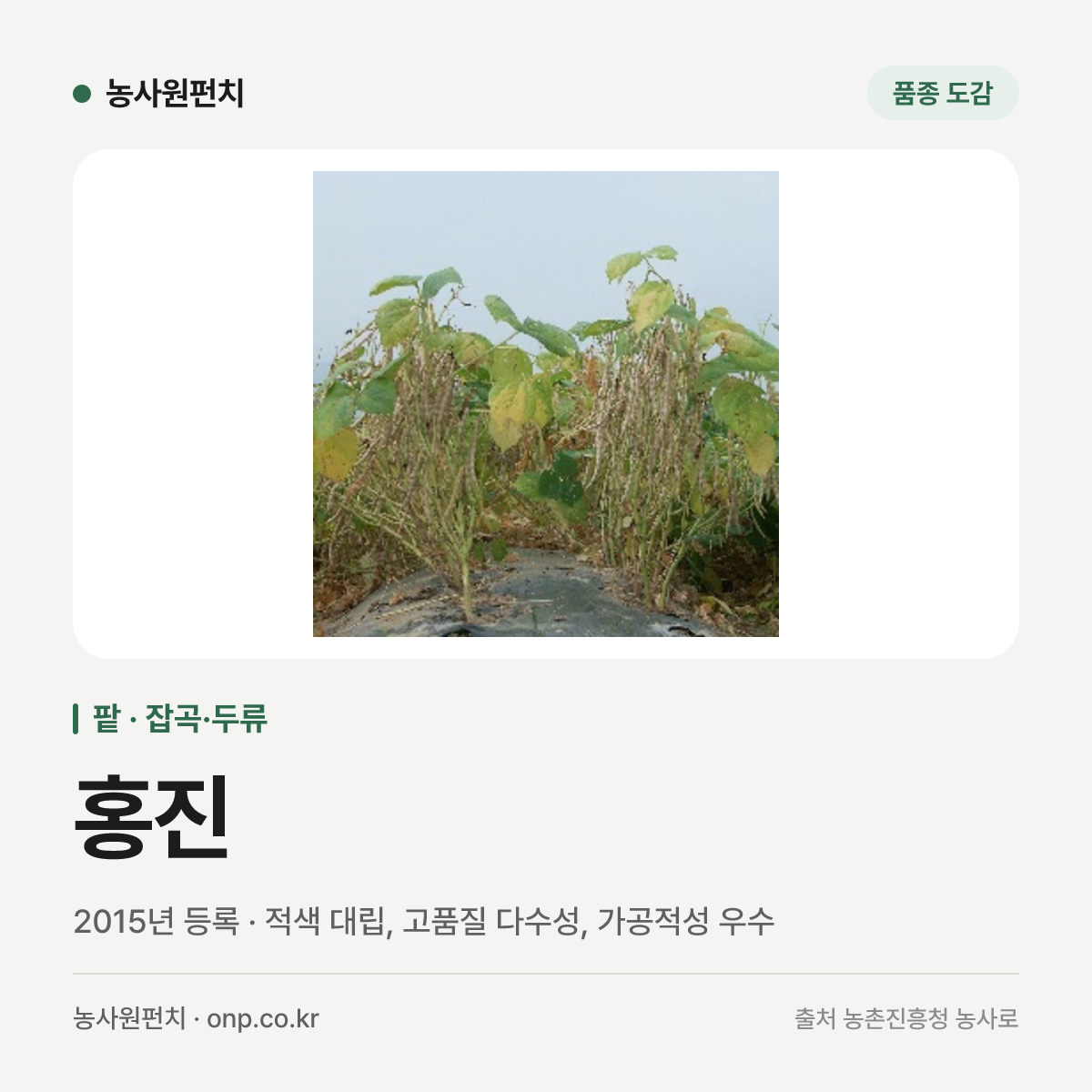 홍진
