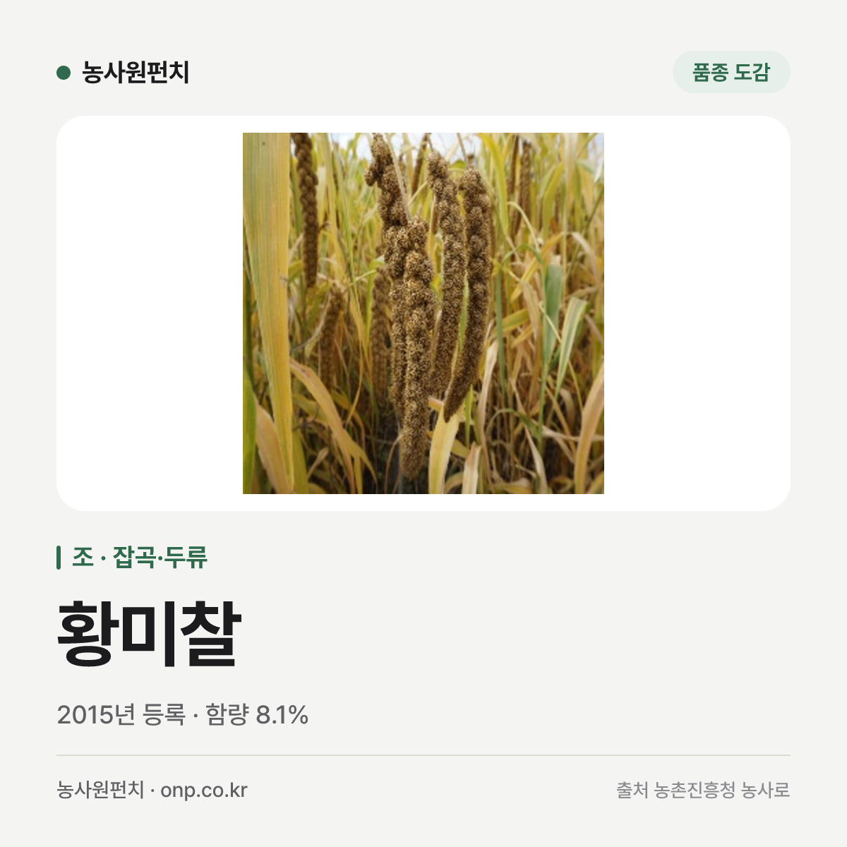 황미찰