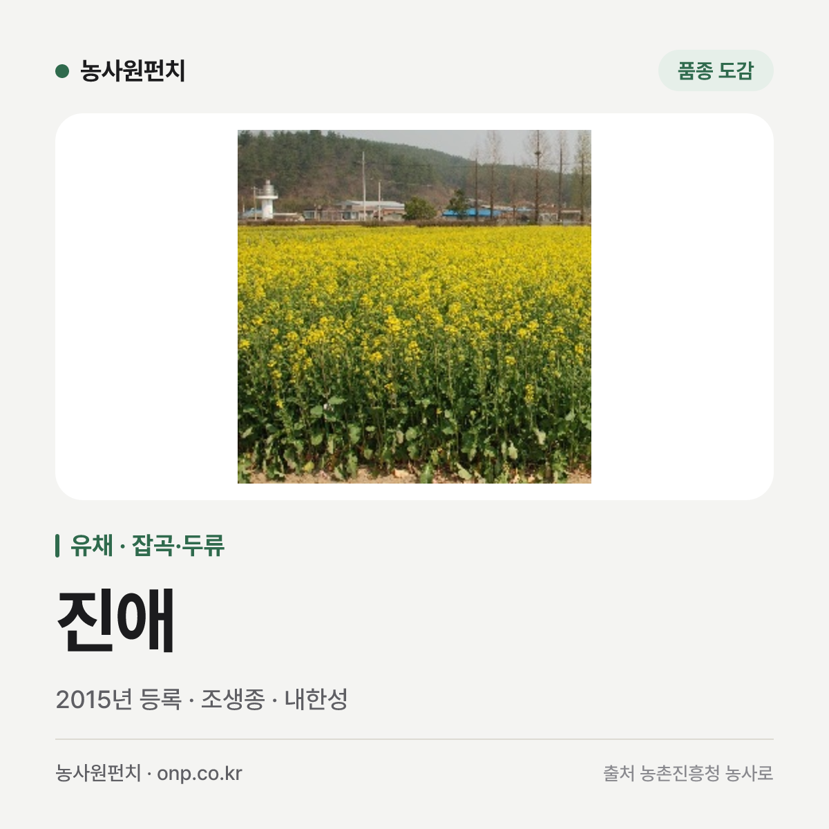 진애