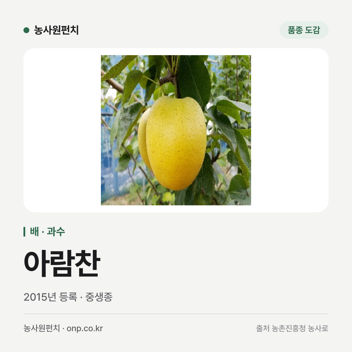 아람찬