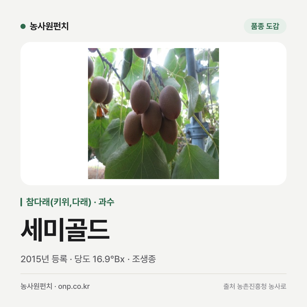 세미골드