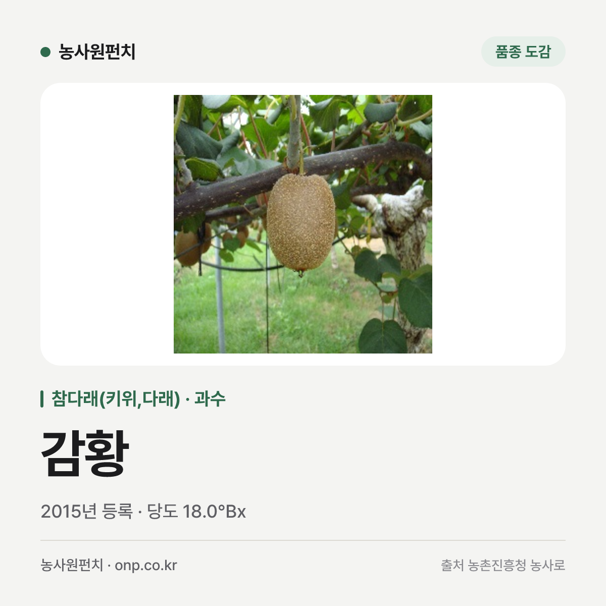 감황