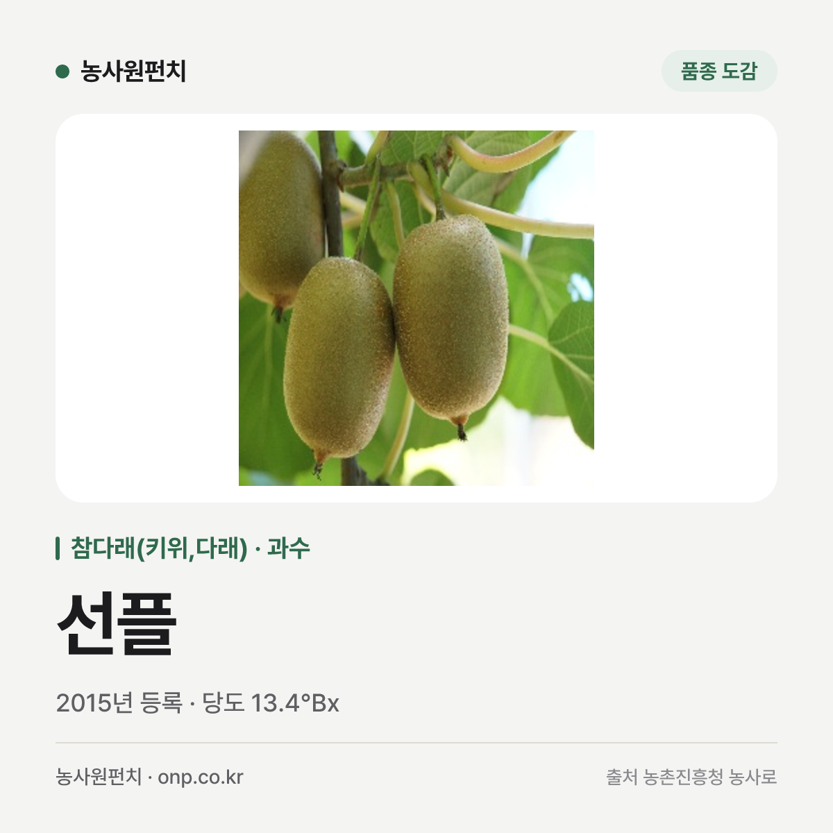 선플