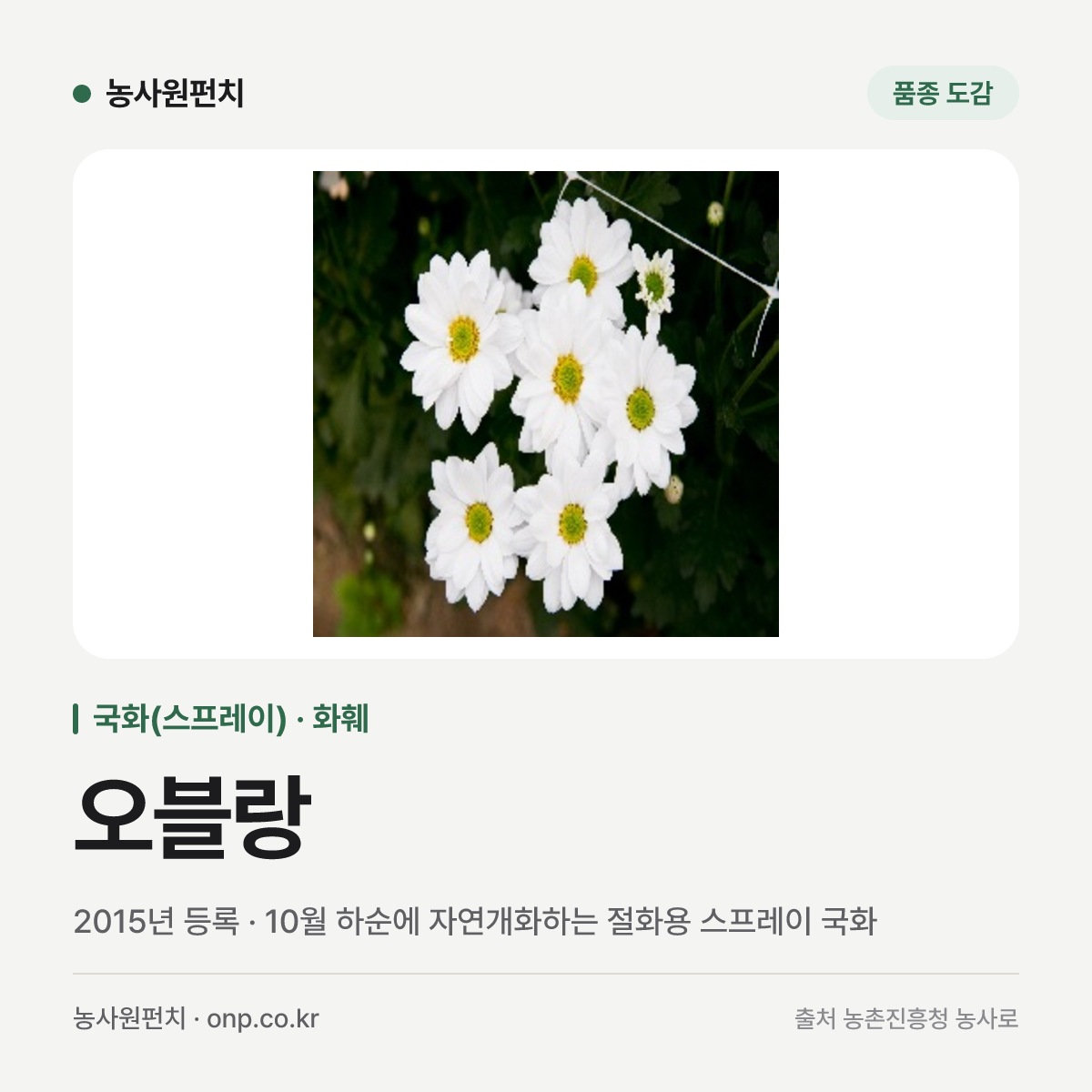 오블랑