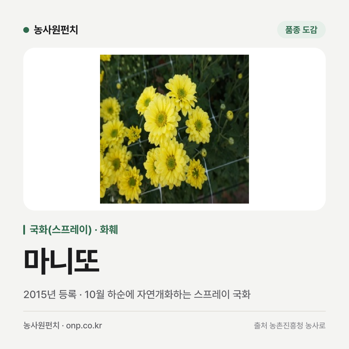 마니또