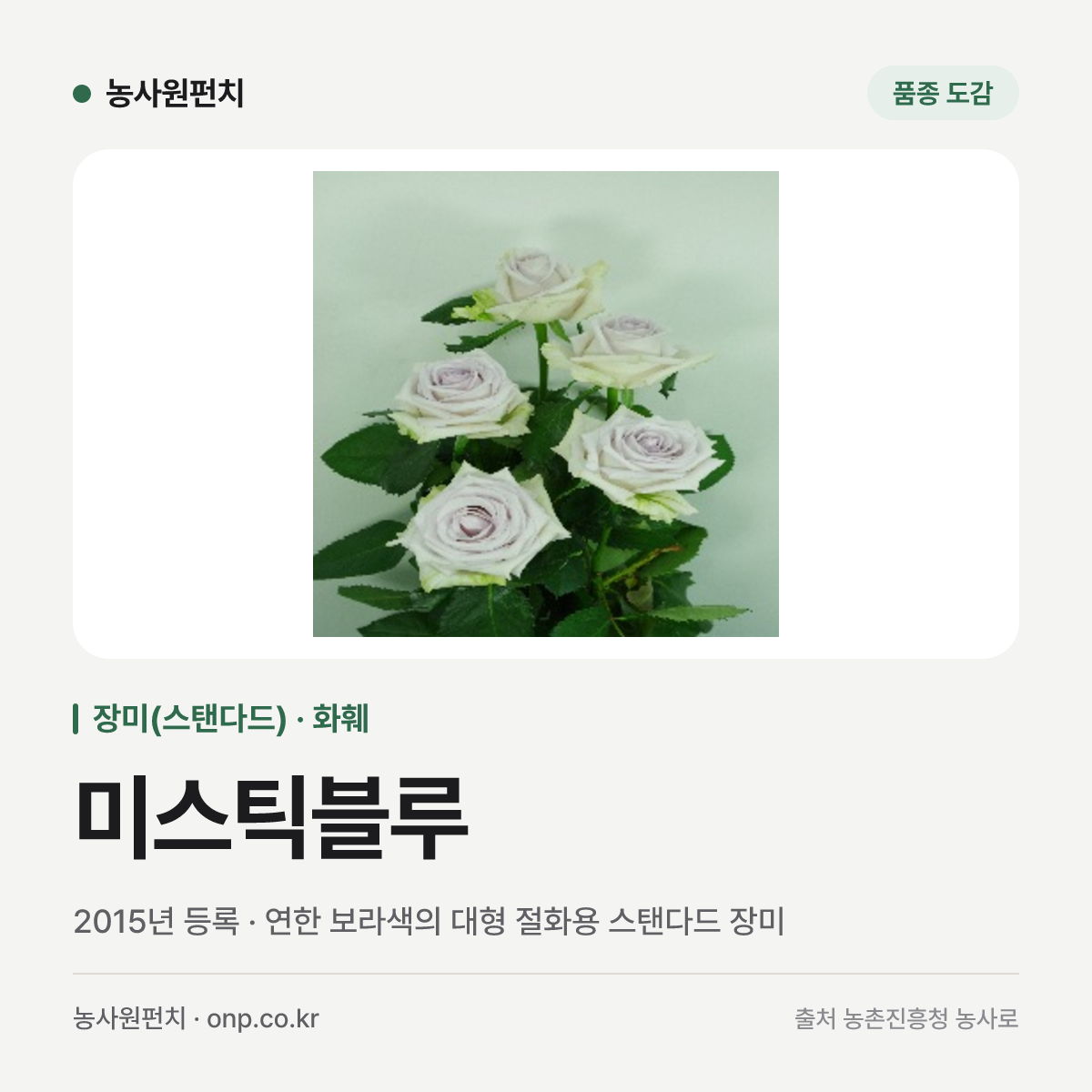 미스틱블루