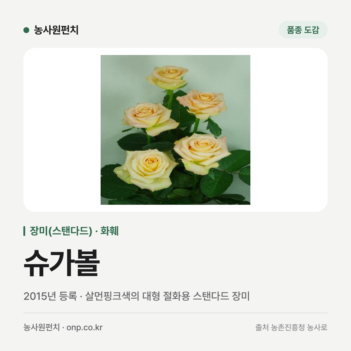 슈가볼