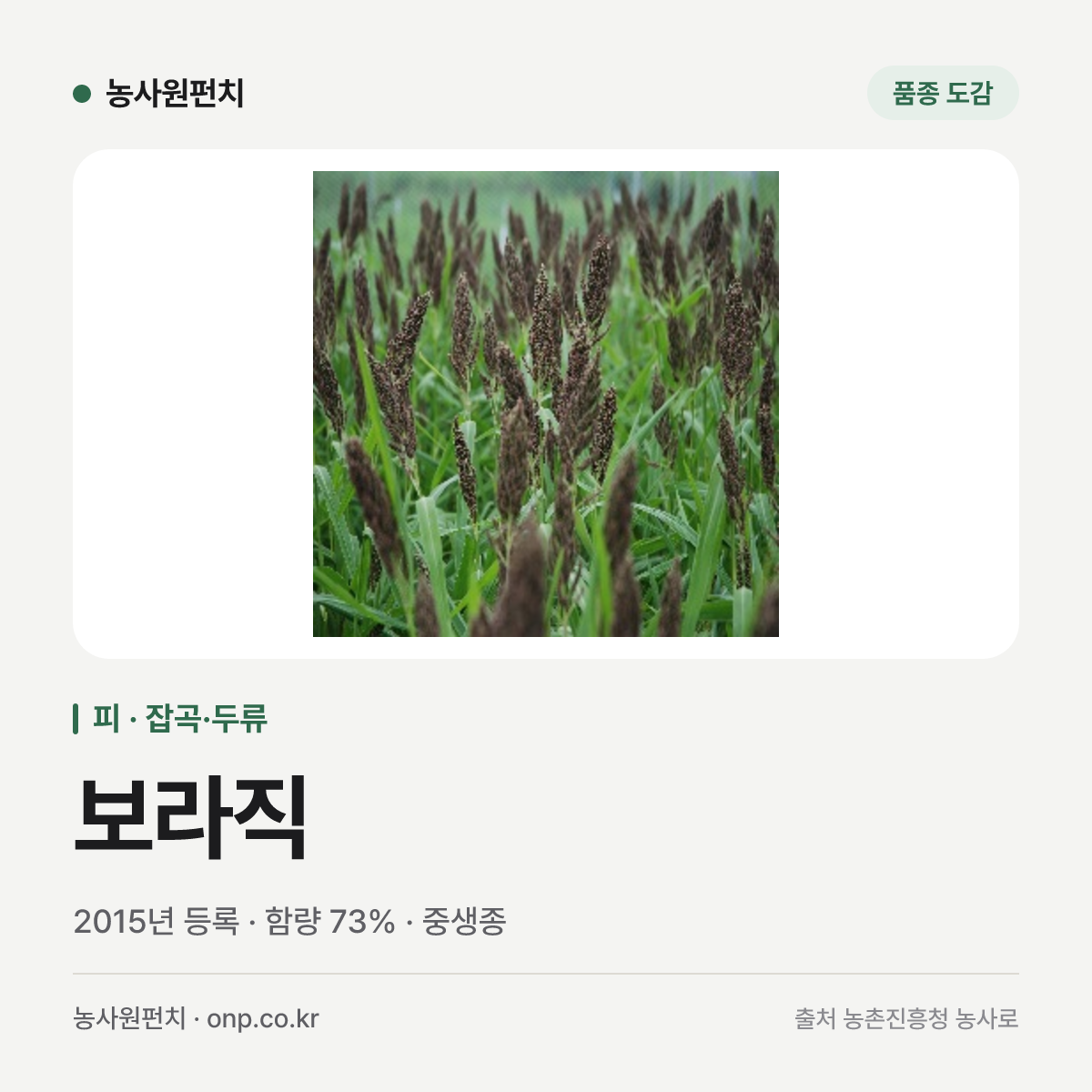 보라직