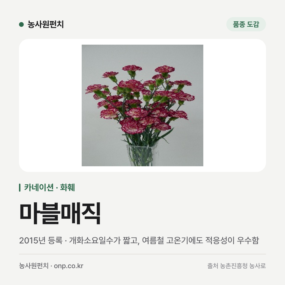 마블매직