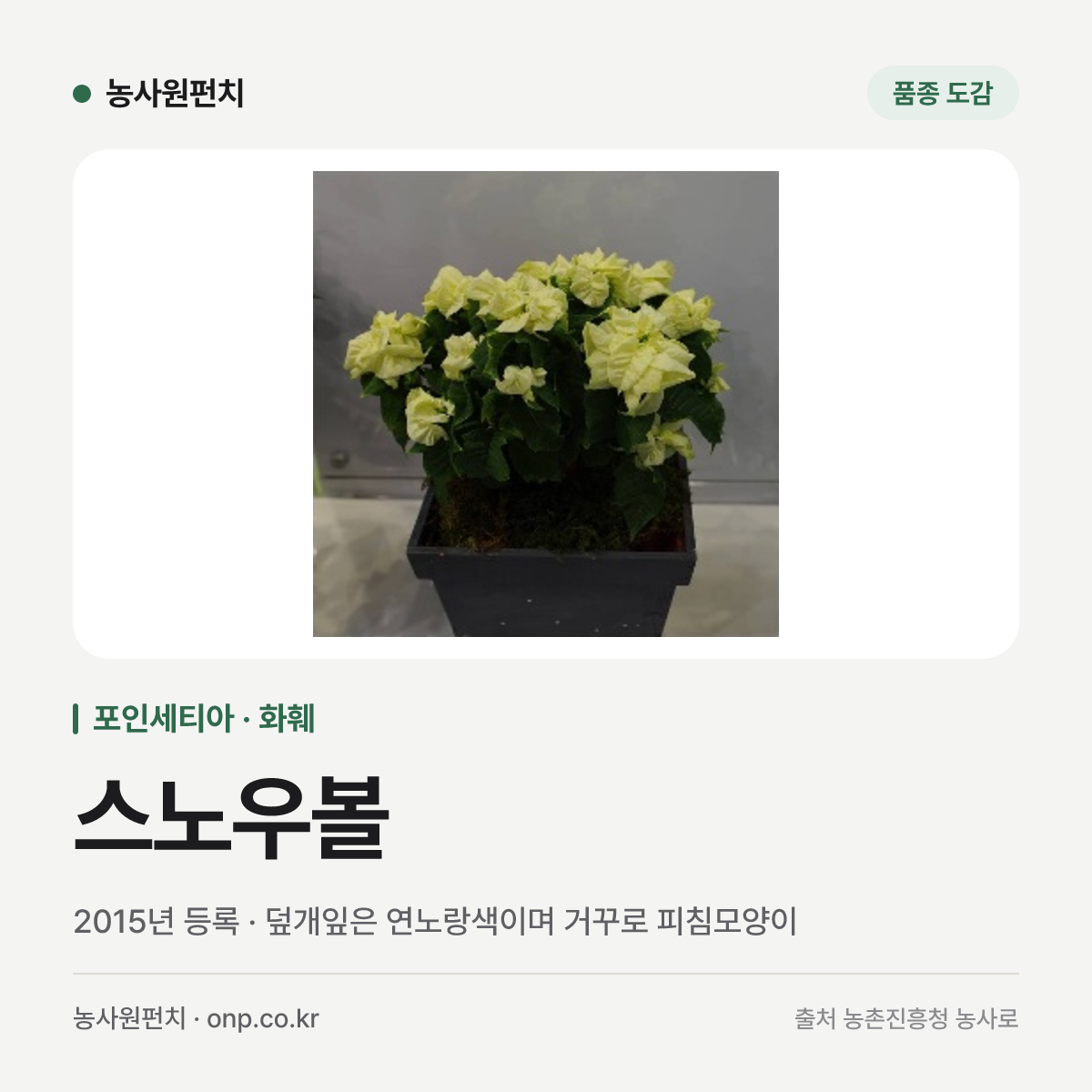 스노우볼