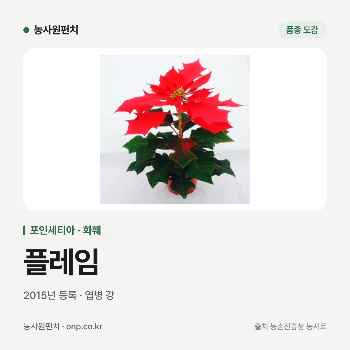 플레임