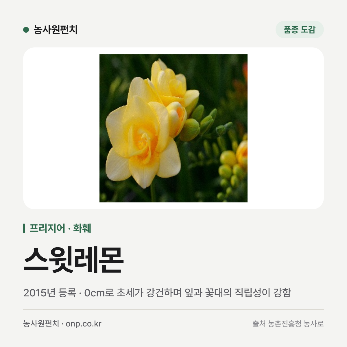 스윗레몬
