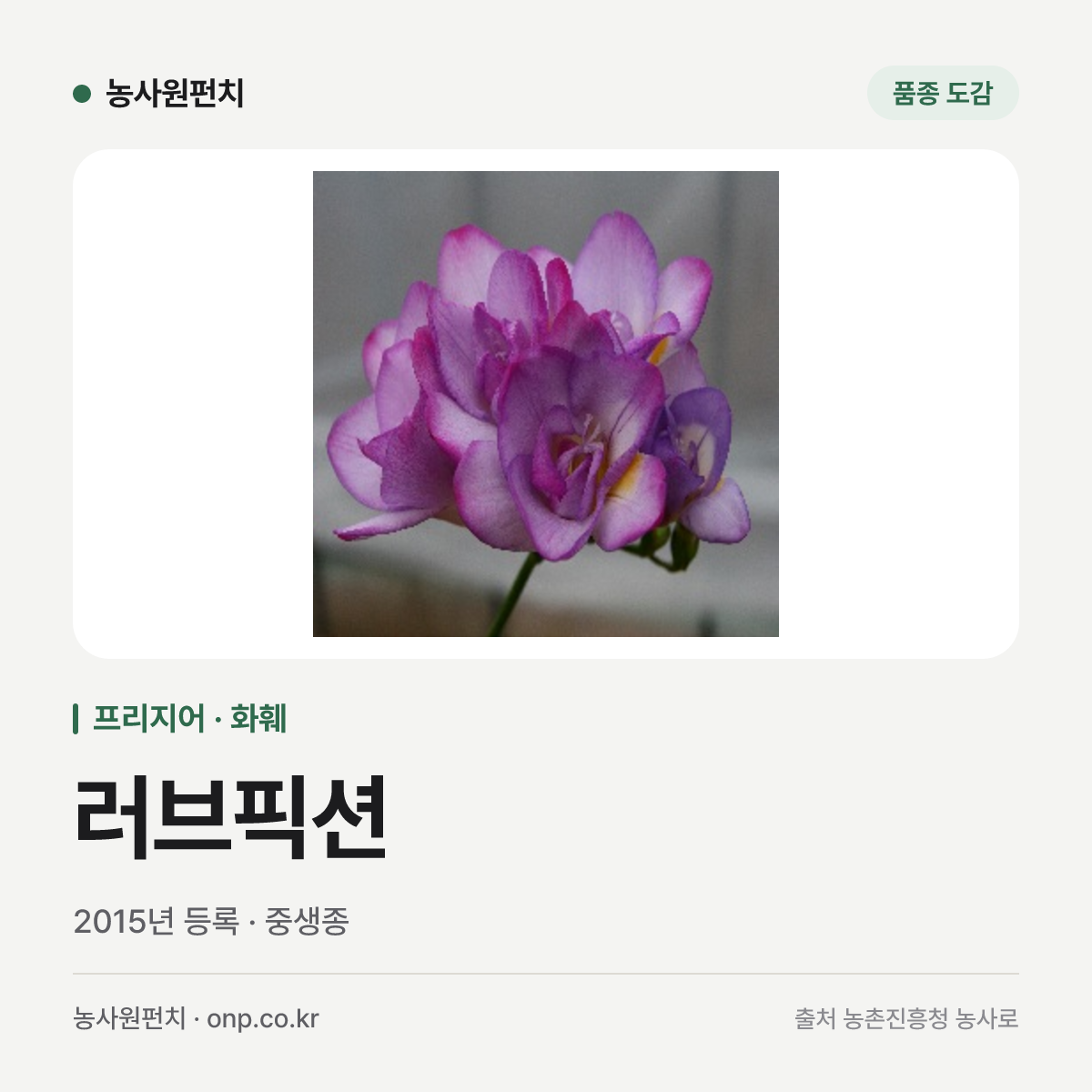 러브픽션