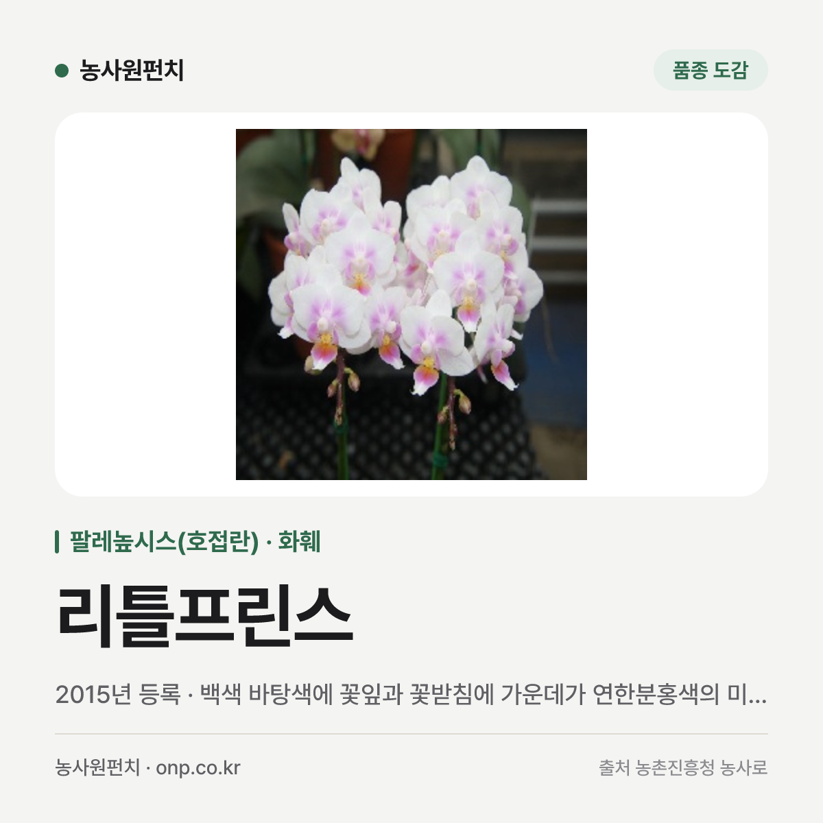 리틀프린스
