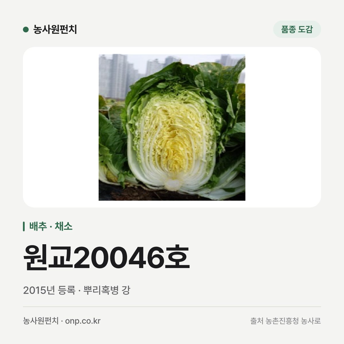 원교20046호
