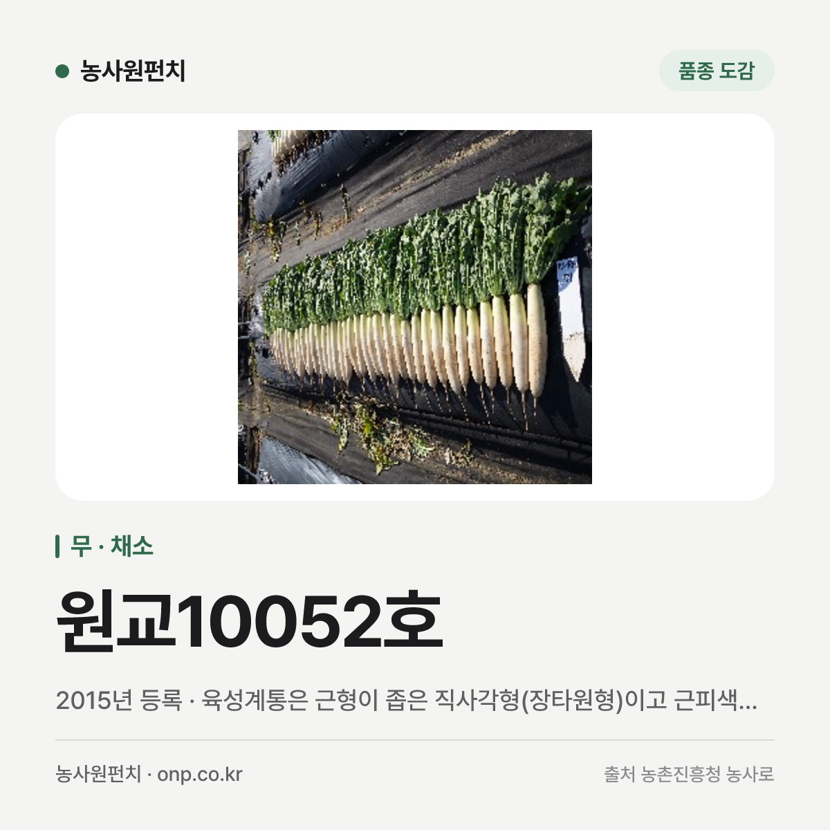 원교10052호