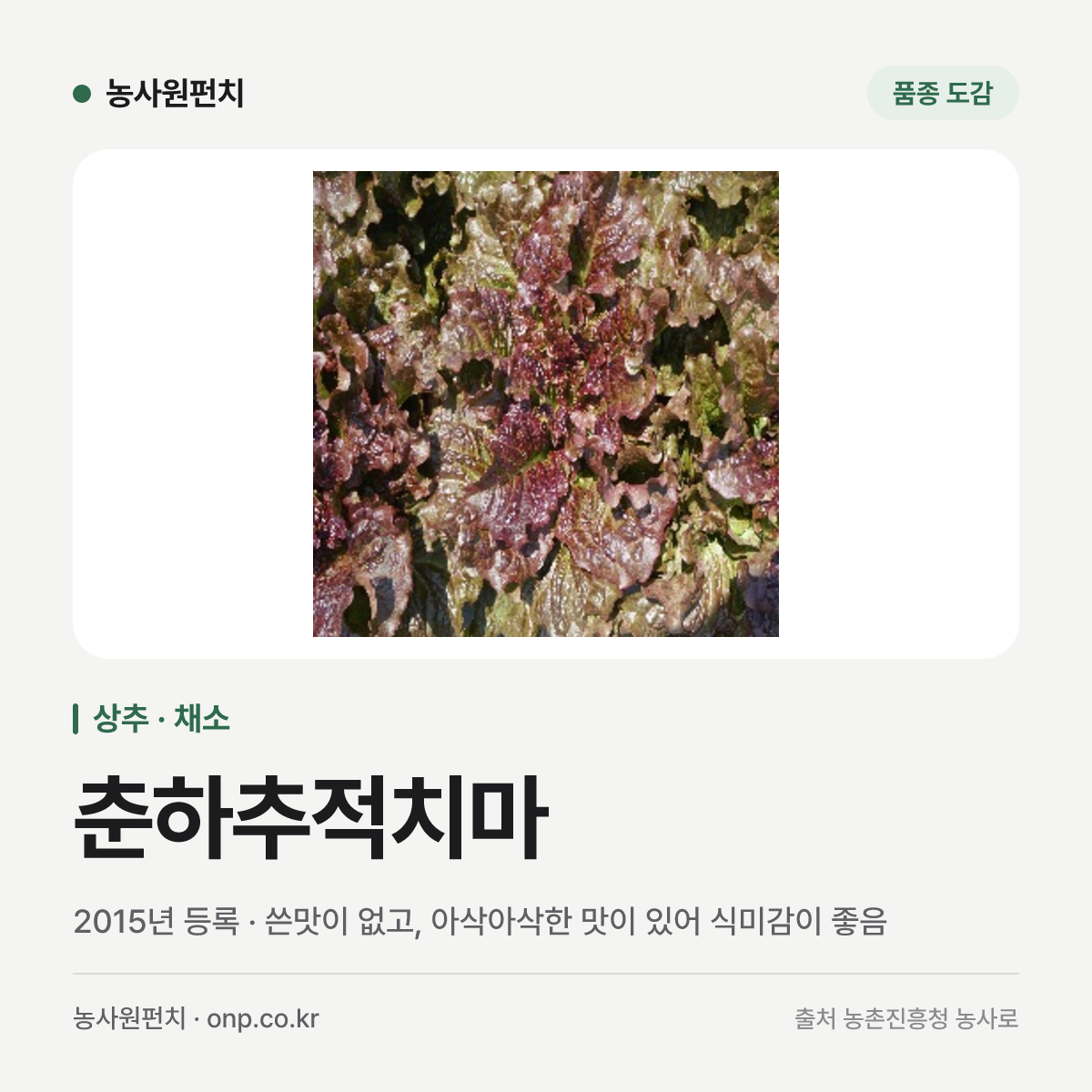 춘하추적치마