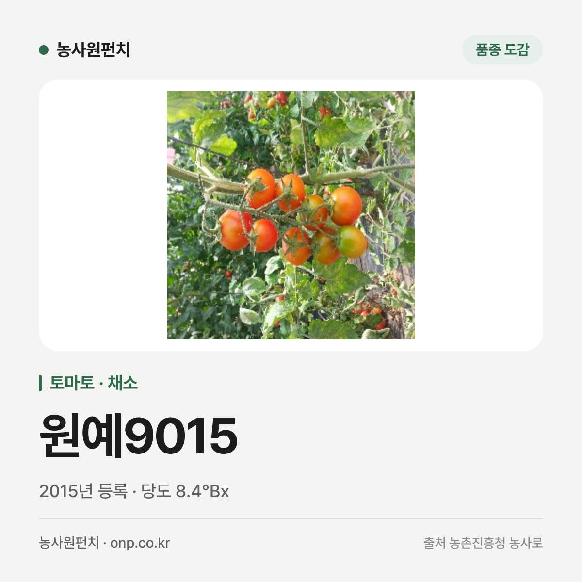 원예9015