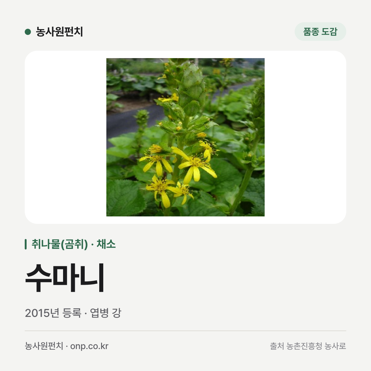 수마니