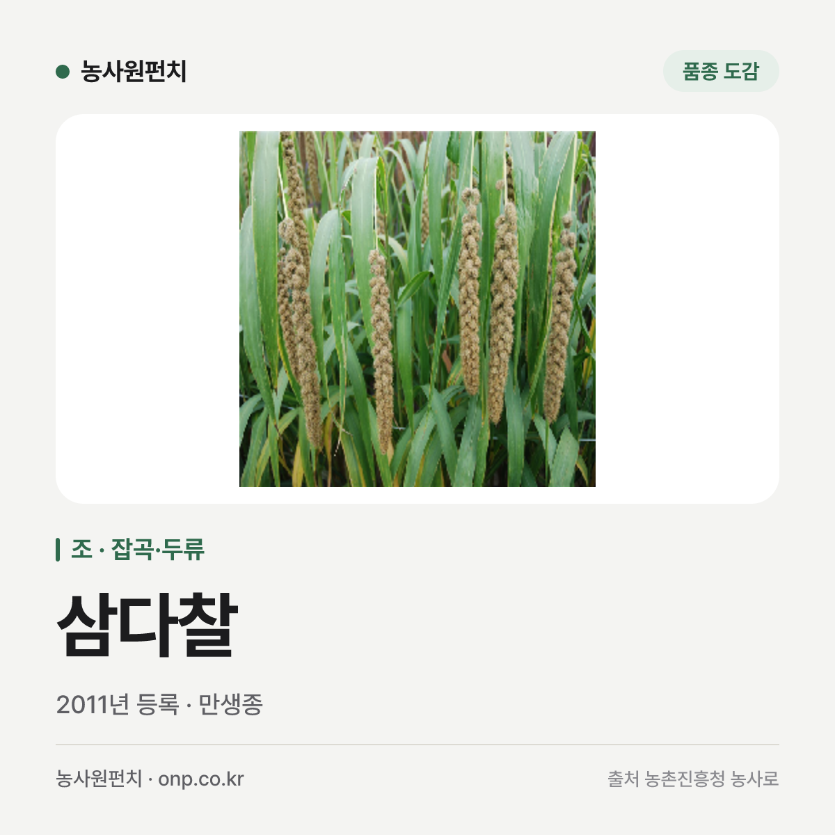 삼다찰