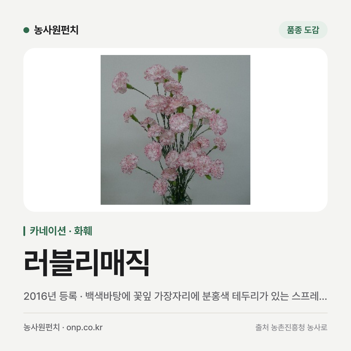 러블리매직