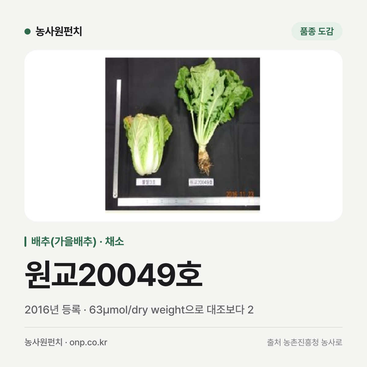 원교20049호