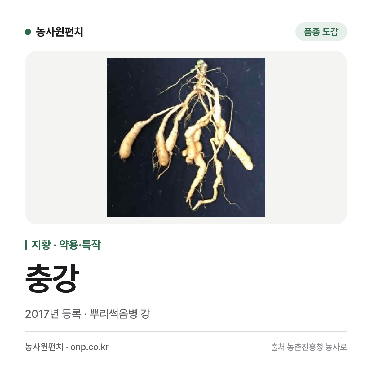 충강