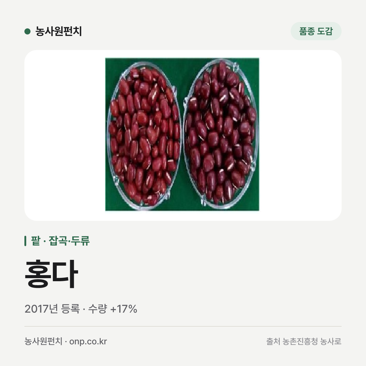 홍다