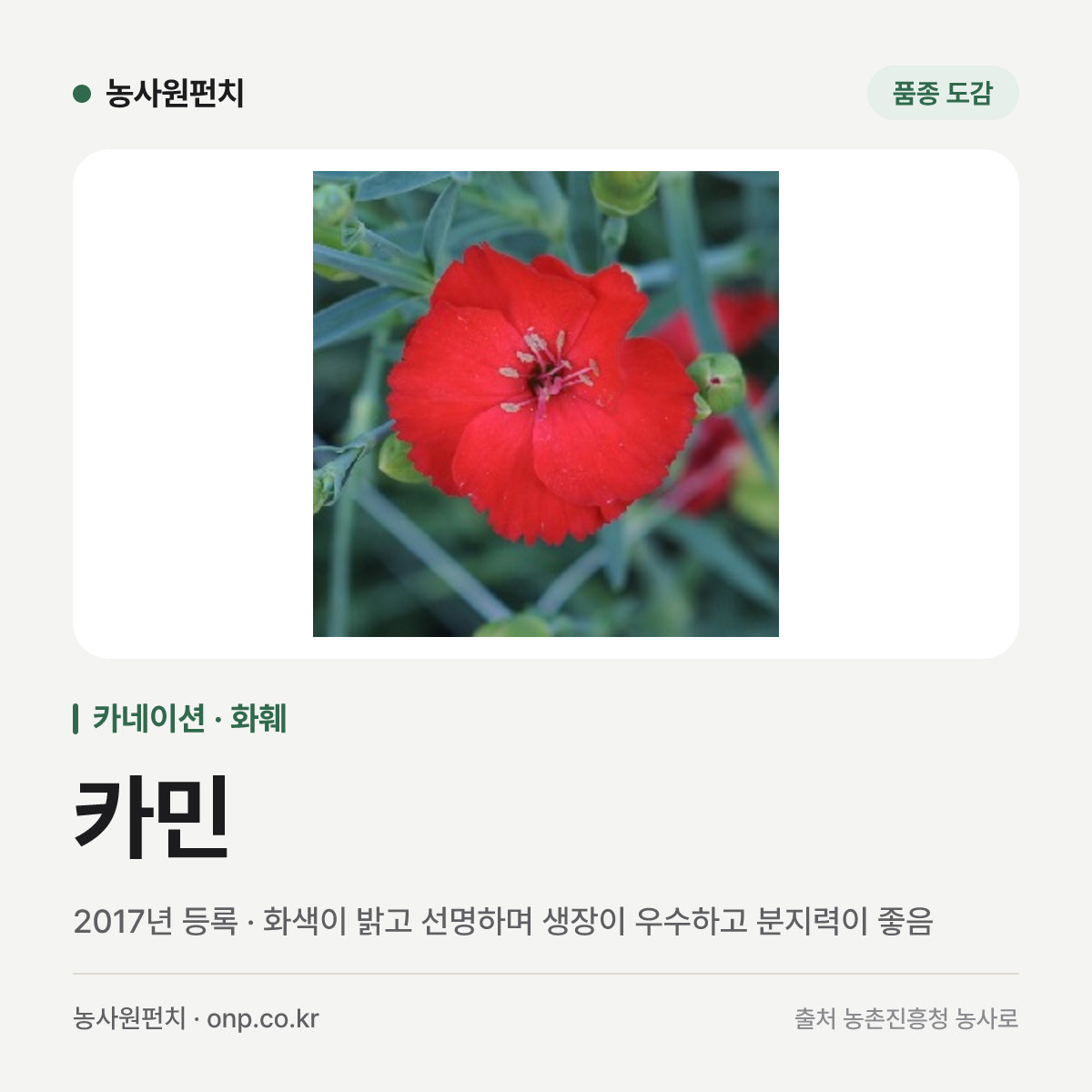 카민