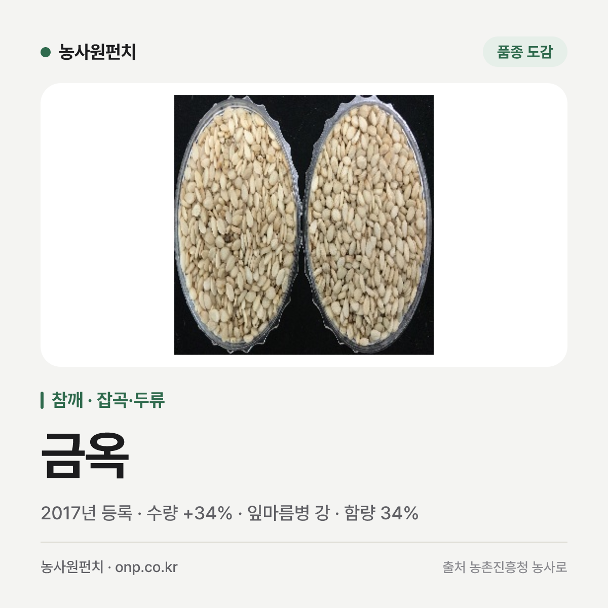금옥