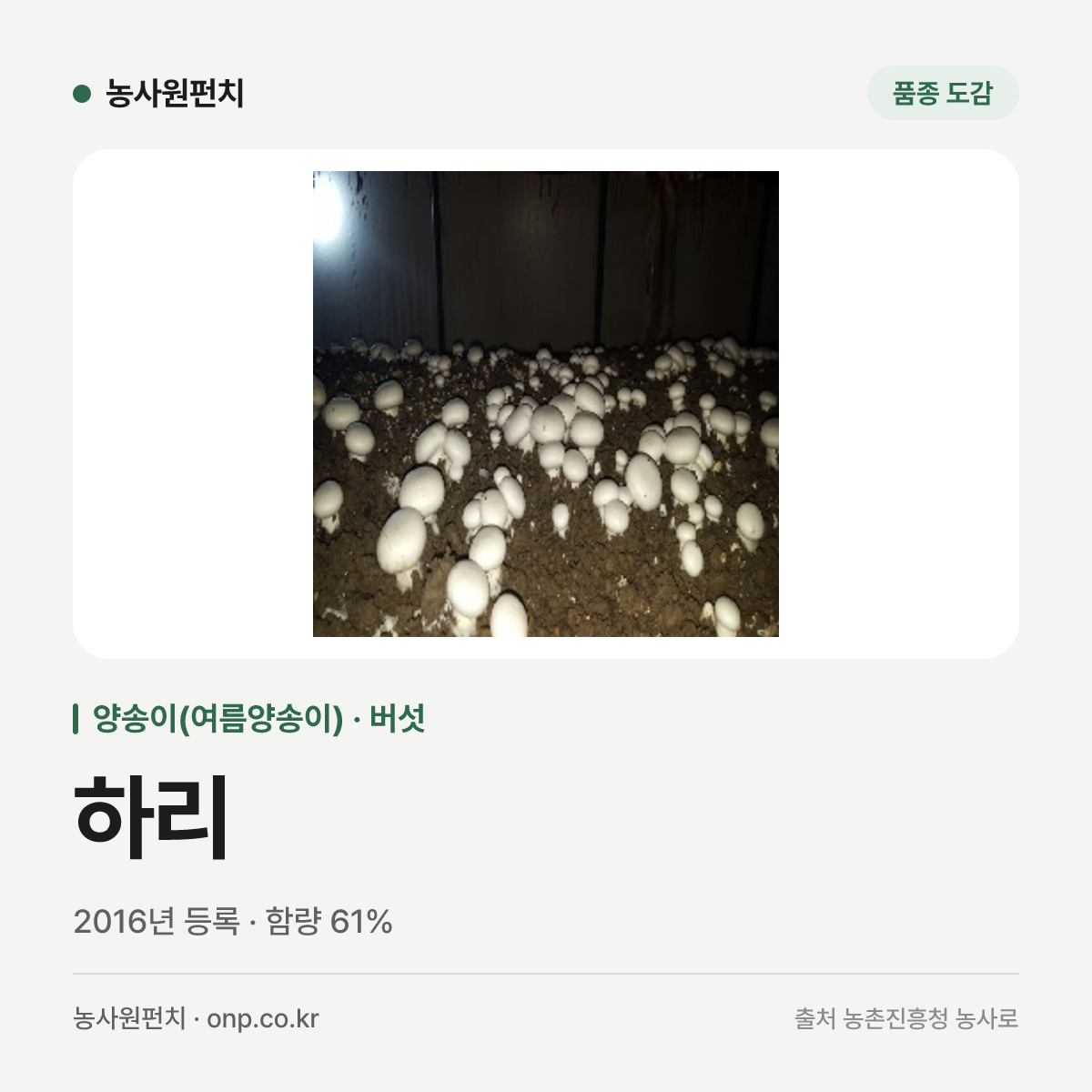 하리