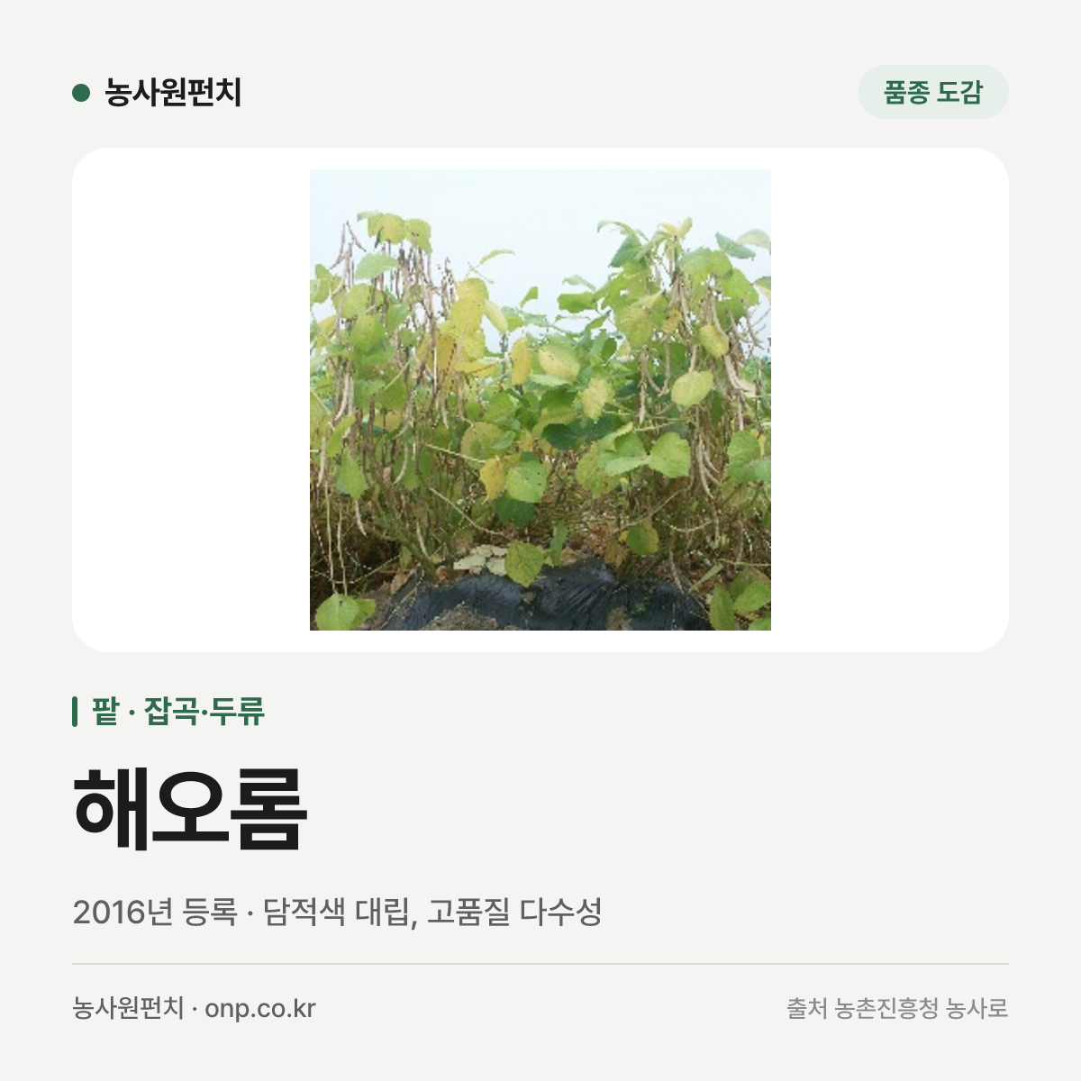 해오롬